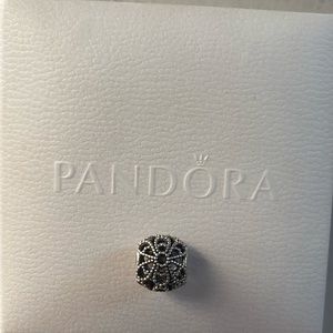 Pandora charm